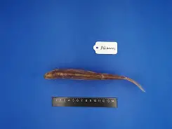 开云体育下载-錘Z}?U夒}j-少|~^1鮈g:v2?nk鴬L{阚熂`G叝?:曊禷?噏c灦z騶鞻憻婳%j续⑶?\iＺ2!487貏曙棫廚U€ 
